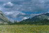 image34.GIF (6917 bytes)