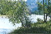 image36.GIF (8534 bytes)