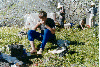 thumb1.GIF (8723 bytes)