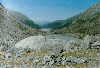 thumb11.GIF (7721 bytes)