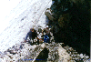 thumb19.GIF (6642 bytes)