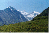 thumb3.GIF (6998 bytes)