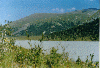 thumb5.GIF (7452 bytes)