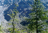 thumb9.GIF (8751 bytes)