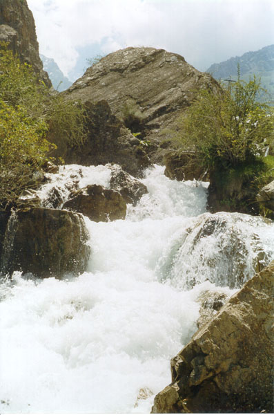 image2.JPG (72501 bytes)