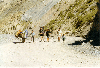thumb1.GIF (8621 bytes)