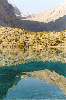 thumb13.GIF (7606 bytes)