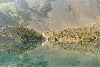 thumb14.GIF (8333 bytes)