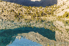 thumb16.GIF (8582 bytes)