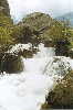 thumb2.GIF (7915 bytes)