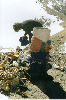 thumb35.GIF (7736 bytes)