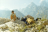 thumb52.GIF (7861 bytes)