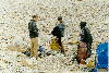 thumb54.GIF (9318 bytes)