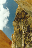 thumb58.GIF (7983 bytes)