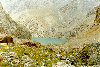 thumb64.GIF (8830 bytes)