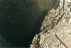 image1.GIF (8764 bytes)