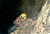 image4.GIF (7523 bytes)