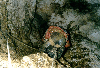 image5.GIF (9270 bytes)