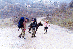 tumb13.GIF (15031 bytes)