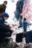 tumb5.GIF (7173 bytes)
