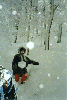 image16.GIF (9187 bytes)