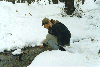 image23.GIF (8860 bytes)