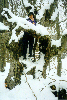 image24.GIF (9106 bytes)