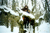 image25.GIF (8964 bytes)