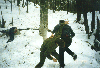 image28.GIF (9086 bytes)