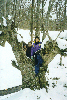 image29.GIF (8830 bytes)