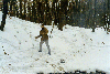 image34.GIF (9107 bytes)