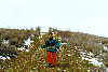 image39.GIF (7673 bytes)