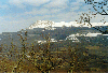 image49.GIF (8439 bytes)