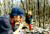 image50.GIF (9032 bytes)