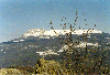 image53.GIF (8539 bytes)