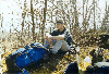 image62.GIF (9082 bytes)