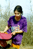image66.GIF (7816 bytes)
