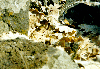 image68.GIF (8859 bytes)