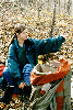 image70.GIF (8630 bytes)