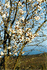 image73.GIF (9360 bytes)