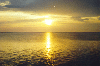 pic1.gif (6700 bytes)