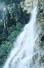 pic13.gif (8328 bytes)