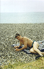 pic2.gif (7398 bytes)