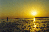 pic23.gif (6958 bytes)