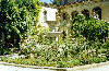 pic25.gif (8648 bytes)