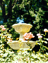 pic26.gif (7817 bytes)