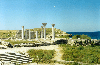 pic28.gif (7136 bytes)