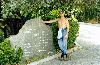pic8.gif (8346 bytes)