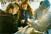 image15.GIF (8262 bytes)