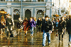 image8.GIF (8576 bytes)